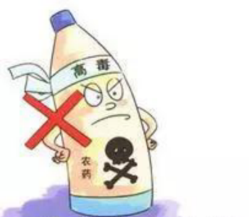 食品安全法擬規定蔬菜瓜果等禁用劇毒高毒農藥